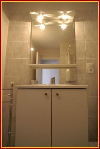 salle-de-bain_fou_de_bassan_20180205_1348906823